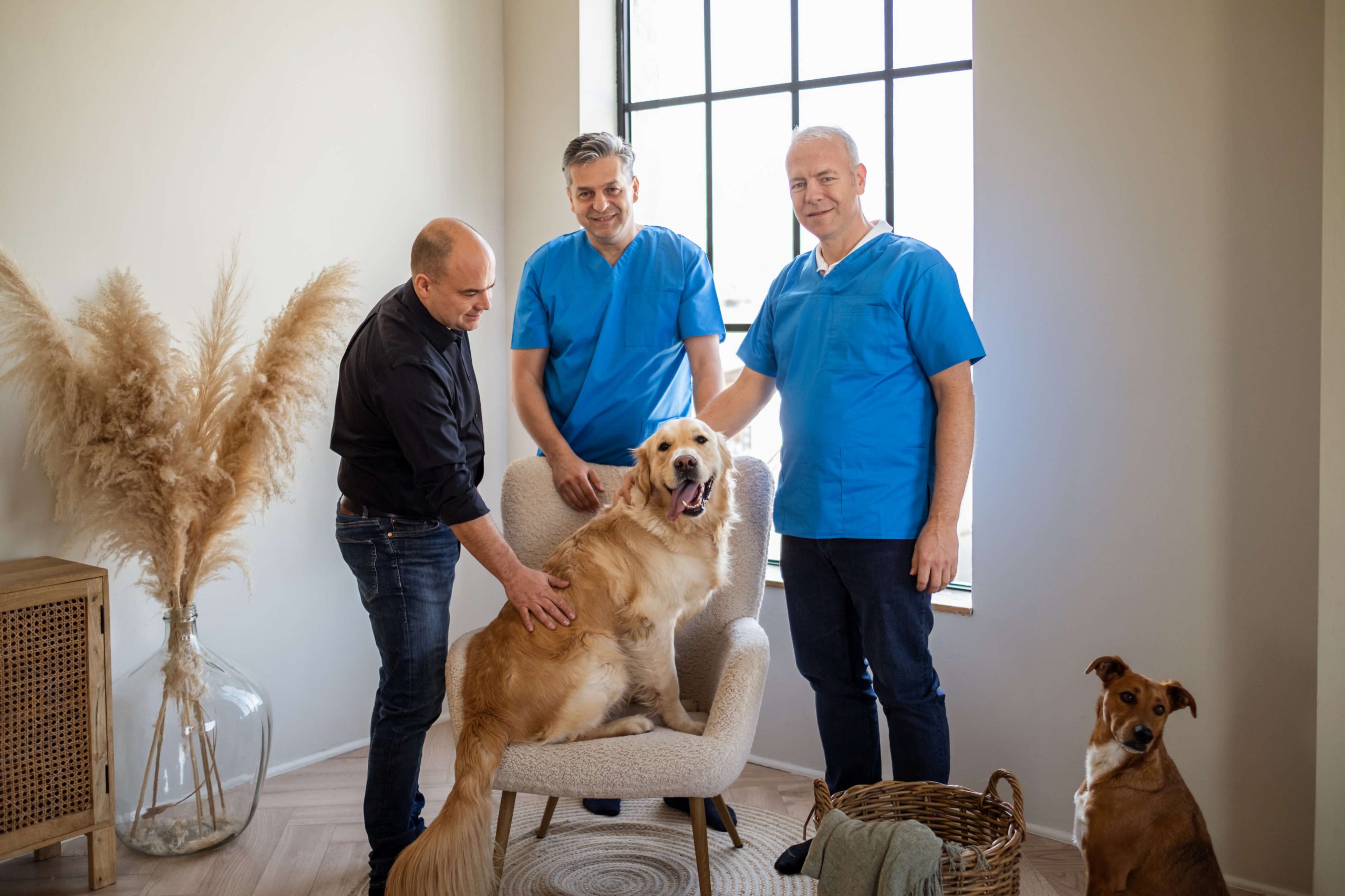 GastroPet Effectivo Markaepites Effectivo Communications
