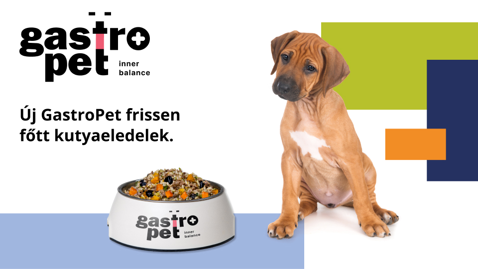 Gastropet borito Effectivo Communications